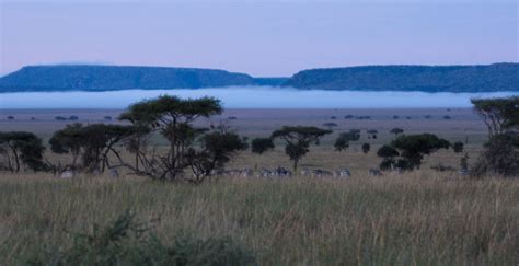 Tanzania Serengeti Ngorongoro And Arusha Steef And Jasper Through