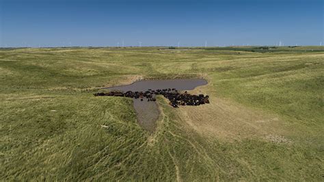 Nebraska Ag Land Values Up 6 Center For Agricultural Profitability