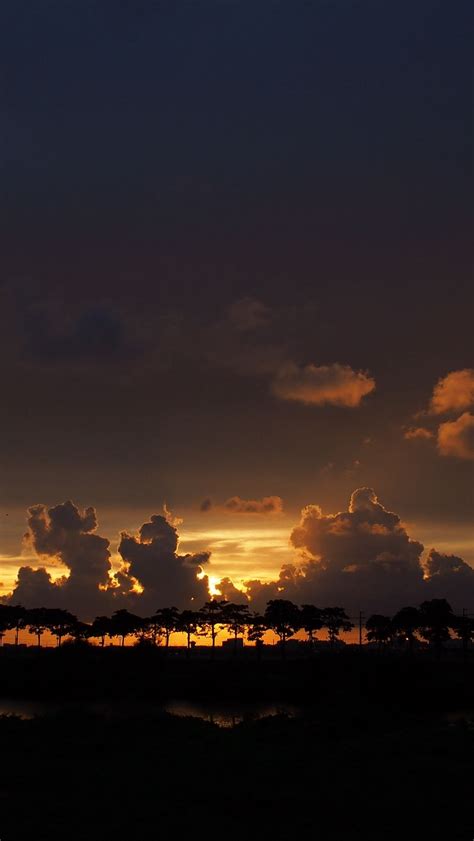 Download Wallpaper 800x1420 Clouds Sunset Horizon Trees Sky Night