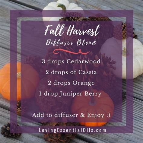 10 Fall Diffuser Blends Wonderful Scents Of The Season Fall Essential Oils Cardamom