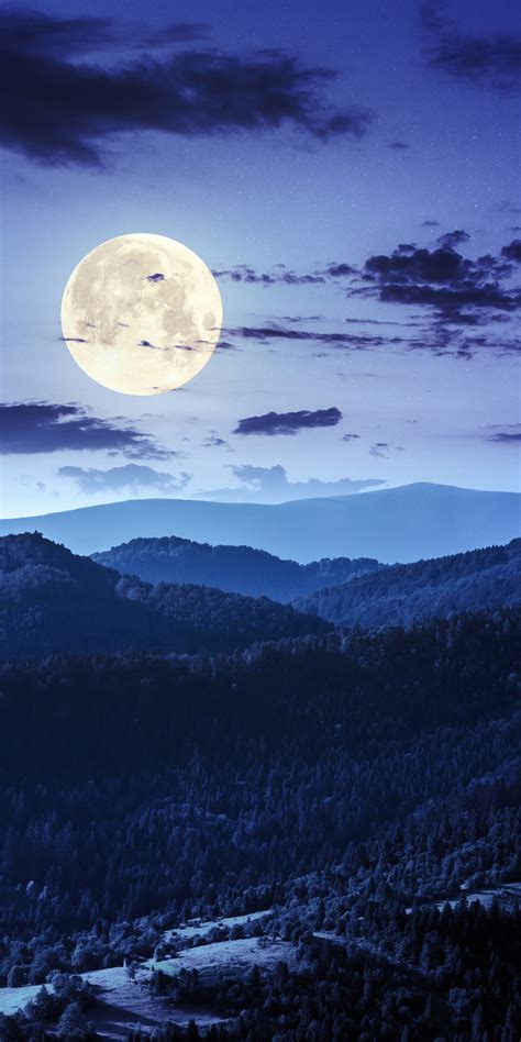 1080x2160 Forest Night Moon Clouds 4k One Plus 5thonor 7xhonor View