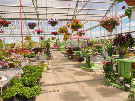 Garden Centers Stuarts Landscaping And Garden Center