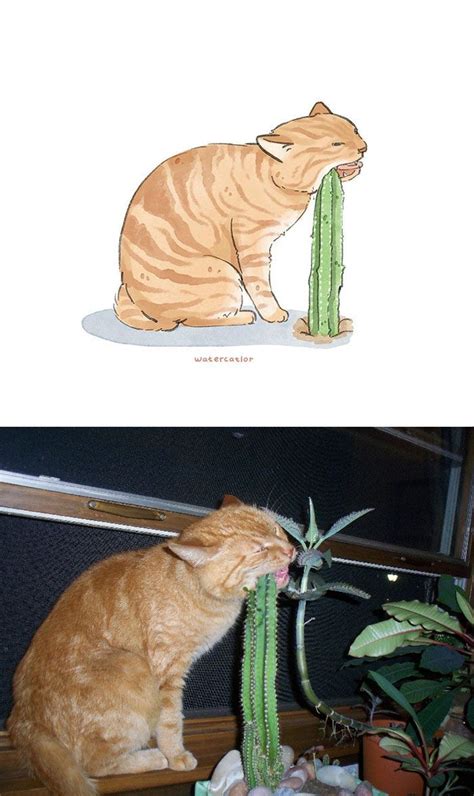 Artist Turns Funny Cat Photos And Memes Into Cute Watercolor