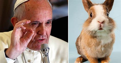 Pope Tells Catholics Not To Breed Like Rabbits While Defending Ban On