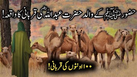 Hazrat Abdullah Razi Allah Tala Anhu Aur Camels Ka Waqia Youtube