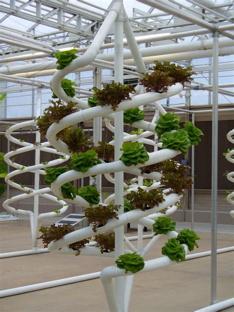 Hydroponic towers are a perfect solution for small space growers. Hidroponia | Hydroponic gardening system, Hydroponic ...