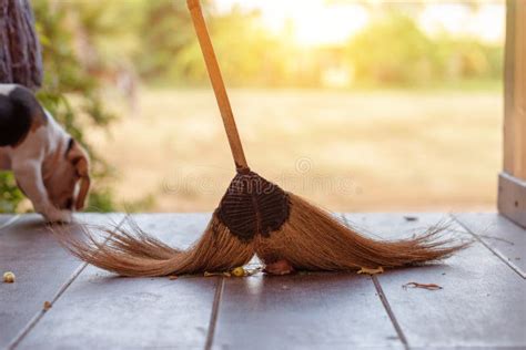 Sweeping Leaves A Broom Stock Image Image Of Autumn 75357633