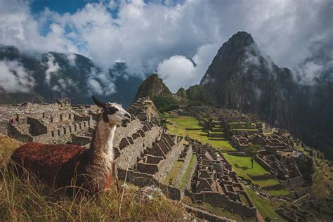 Fun Facts About Peru You Never Knew Splendid India Tours