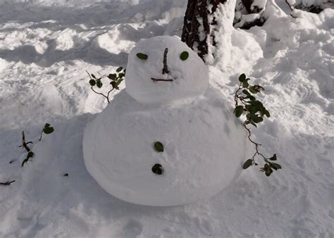 Fat Little Snowman