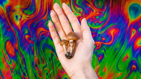Magic Mushrooms Are Shaping The Future Of Psychiatric Treatment The