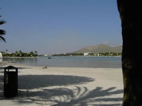 Lovely Beach Picture Of Globales Condes De Alcudia Port Dalcudia