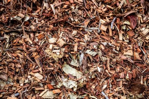 Forest Mulch Check Availability Grow Landscapes
