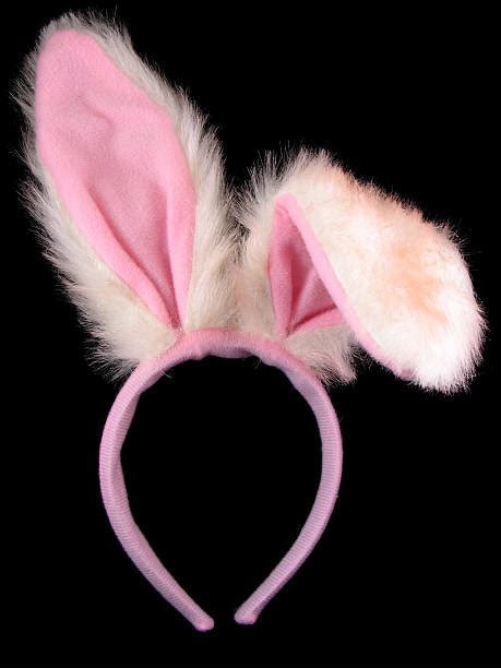 Best Rabbit Ears Stock Photos Pictures And Royalty Free Images Istock