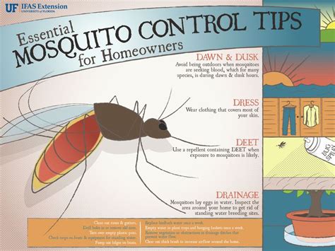 Here Are Some Ways You Can Help Protect Yourself From Mosquitoes