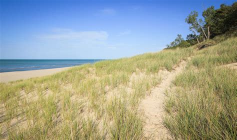Hiking Dunes Trails In Indiana Dunes State Park Indiana