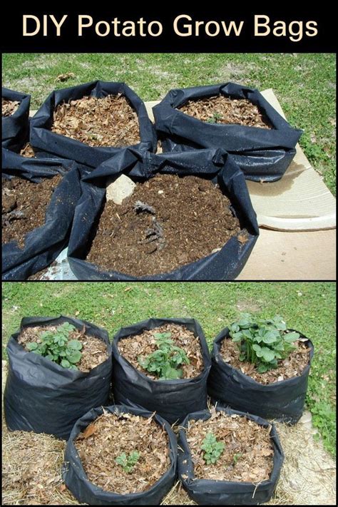 How to make grow bags easily zero budget garden grow bag diy free grow bags telugu vlogs. Potato grow bags or tater totes offer convenience and help a lot in growing your own, good ...