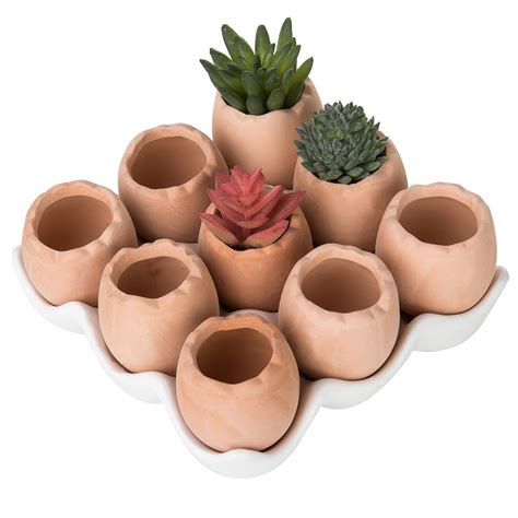 Adorable Set Of 9 Brown Eggs Design Ceramic Succulent Planters Mini