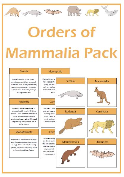 Orders Of Mammals Chart