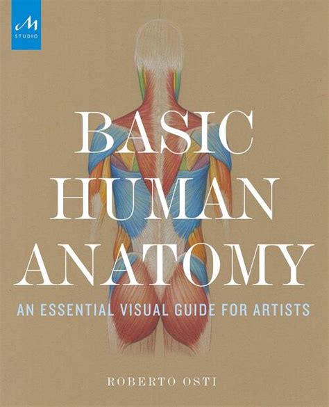 Basic Human Anatomy Roberto Osti Boek 9781580934381 Readshop