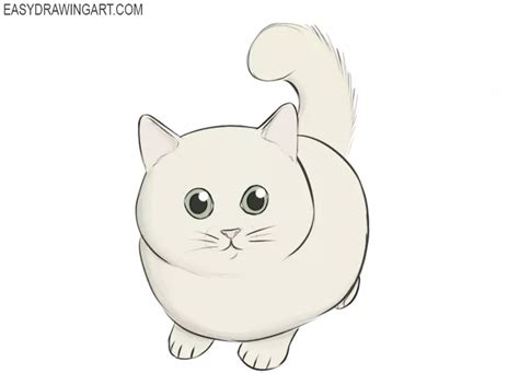 How To Draw A Cute Animal Easy Drawing Art - vrogue.co