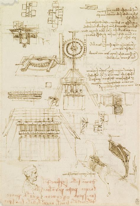 Hugh Marwood Leonardo Da Vinci Ten Drawings From The Royal