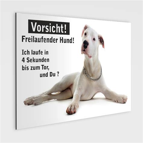 Verbotsschild oder aufkleber hunde verboten. Hunde Verboten Schild Ausdrucken : JGV GmbH ...