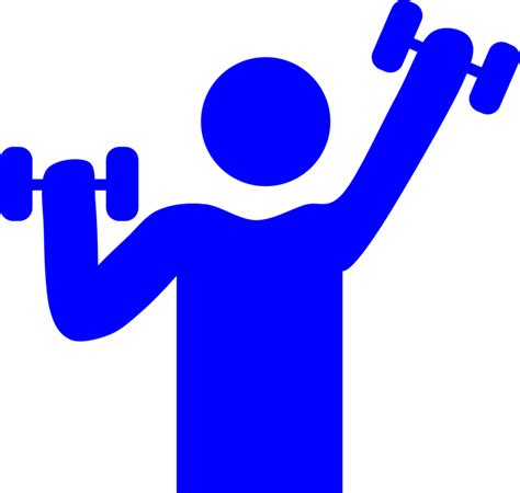 Gym Weight Lifting Muscle · Free Vector Graphic On Pixabay