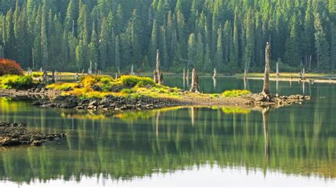 Water Reflections Goose Lake Wa Ford Pinchot National Forest