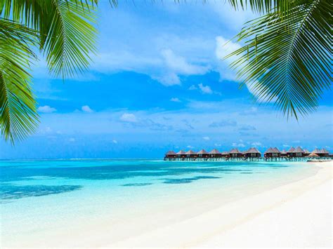 Best Overwater Bungalows In The Maldives Islands My Xxx Hot Girl