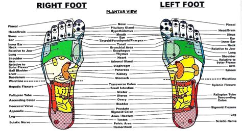 The Benefits Of Foot And Hand Reflexology Remedygrove