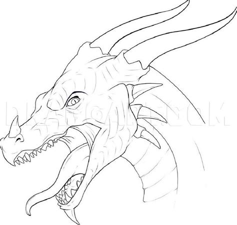 25 Easy Dragon Head Drawing Ideas How To Draw