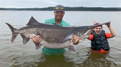 151 Pound Fish Caught In Oklahoma Lake Breaks World Record