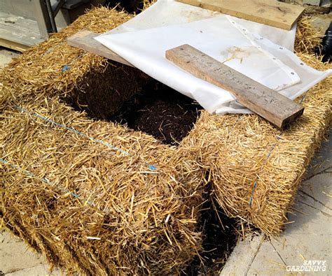 How To Make And Use A Straw Bale Cold Frame
