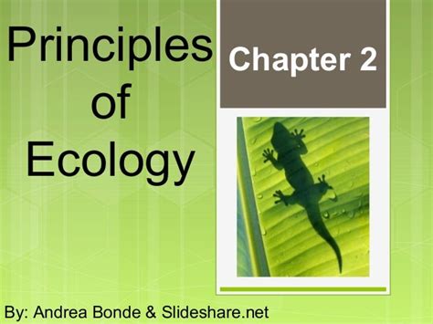 Chapter 2 Principles Of Ecology Worksheet Answers Ivuyteq