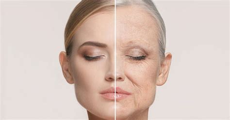 Find Out How You Can Fight The Aging Process