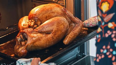 Peta Gets Completely Roasted For Thanksgiving Post Daily Political Newswire