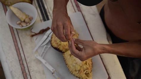 How To Cut Open Prepare And Eat A Delicious Jackfruit A Tutorial By