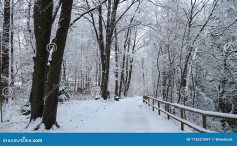 Pathway Surrounded By Trees And Wooden Fences Covered In The Snow In A