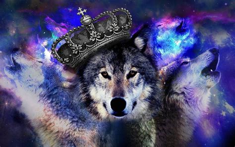 Blue Wolves Wallpapers Top Free Blue Wolves Backgrounds Wallpaperaccess