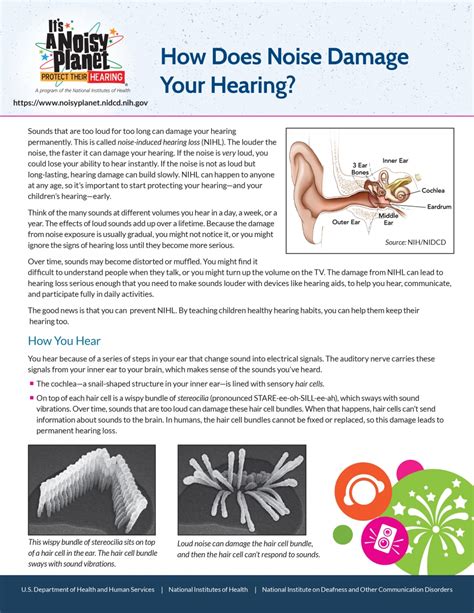 How Does Noise Damage Your Hearing Noisy Planet