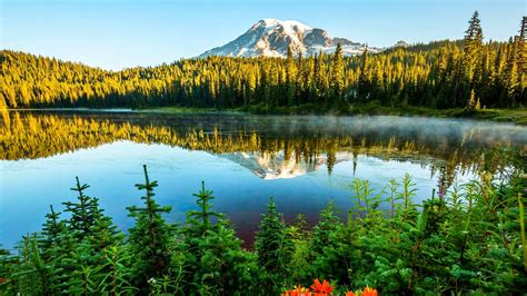 Landscape Summer Lake Reflection Lake Green Firs Evaporation Pine Forest With Snow Mountain Sky