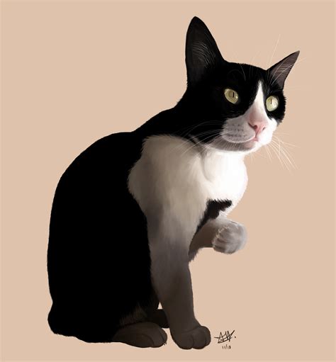 Realistic Cat Drawing Digital Art 4797x5172px Rart