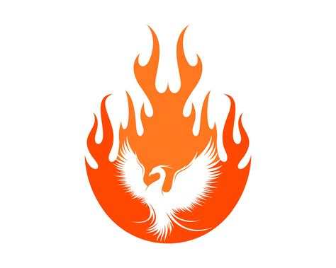 Phoenix Rising Vector Art Icons And Graphics For Free Download