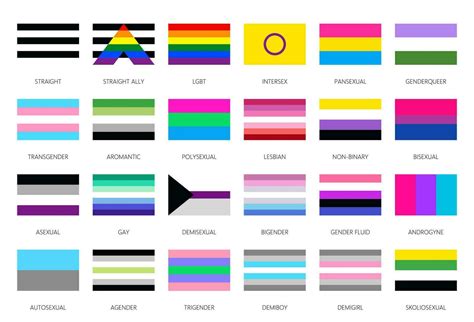 lgbt orgullo banderas sexual diversidad arco iris símbolos Vector en Vecteezy