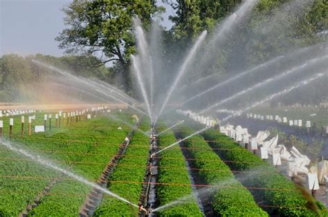 7 Best Practices With A Sprinkler Irrigation System