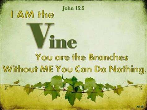 John 155 6 I Am The Vine You Are The Branches He Who Abides In Me