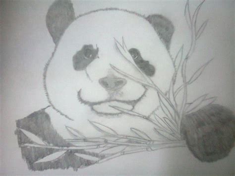 Sintético 62 Images Dibujos A Lápiz De Pandas Segurentmx