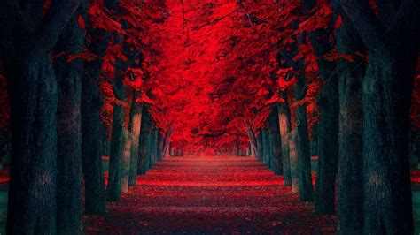 Red Japanese Wallpaper Hd Wallpaper Japan Red Black Minimalism