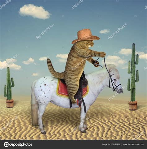 Cat Cowboy On A Horse 3 — Stock Photo © Iridi 178150960
