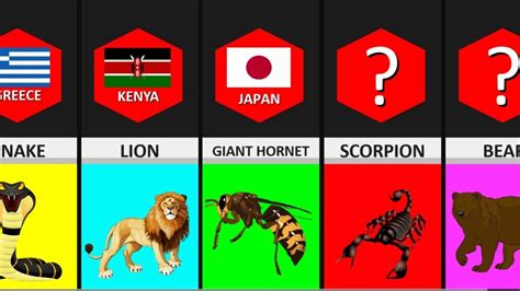 Comparison Most Dangerous Animal In Each Country Youtube